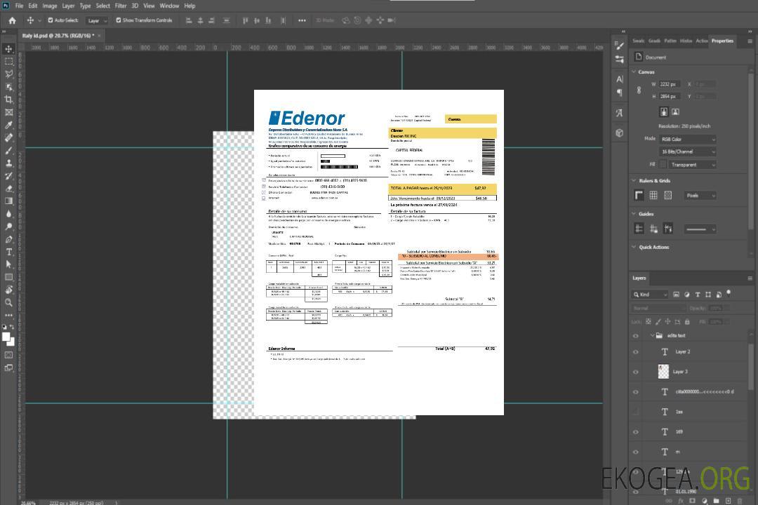Argentine Edenor modèle de facture de services publics facile à remplir au format Word et PDF template
